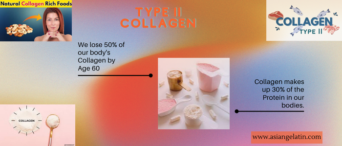 Type 2 collagen  (2)