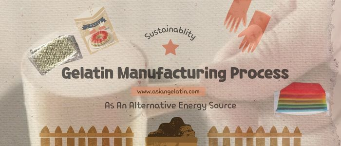 gelatin manufacturing