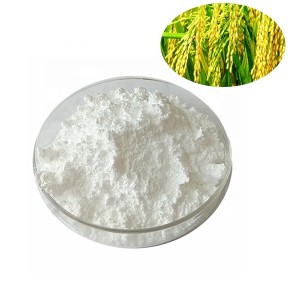 Rice peptide