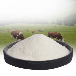 Factory best selling Skin Care Health Supplements Raw Material CAS 9064-67-9 Bovine Collagen