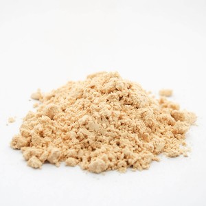 OEM China Wholesale Nutritional Supplement Soybean Protein Powder Pea Protein Protein Peptide