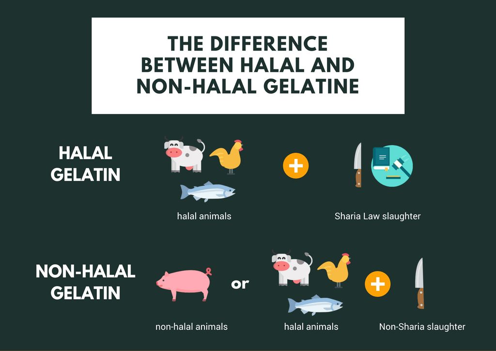 Halal gelatintyper og fordeler1