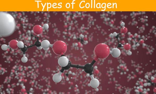 Different Types of Collagen and How to Use Them