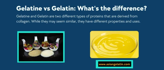 gelatin vs gelatine
