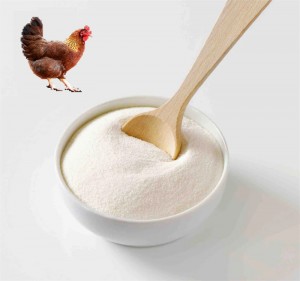 High Performance Undenatured Chicken Collagen Type II Powder for Nutraceutical and Cosmeceutical Applications