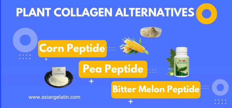 plant-based collagen