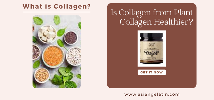 plant collagen healthier