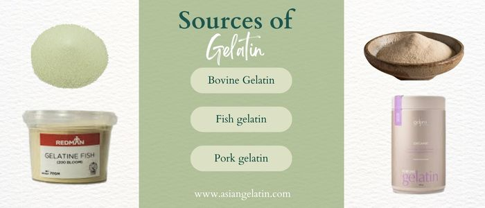 source of gelatin
